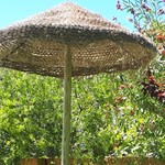 BeaOvCo
