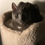 Sandra2627