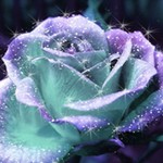 Joanne211970