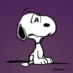 conyers_bull