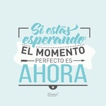 Alonsoot