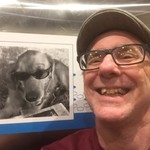 Stowdog