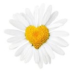 sabselinchen