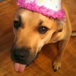 burghgirl12