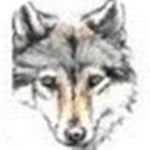 Wolfgirl