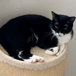 Millie72