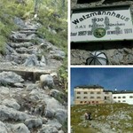 Peja62