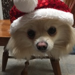 dashbery