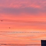そうし