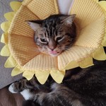 bbunsjr