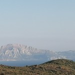 Pepemateo