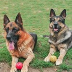 Kalou020659