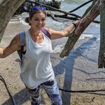 Stephparker