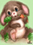 middlebunny