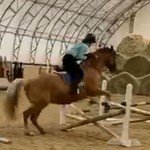 jumping4thewin