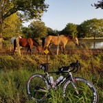 bicycle14