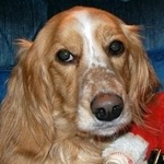 Mumroc