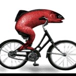 Fish_on_a_Bike