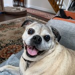 Abrunnin