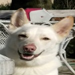 jcritchl