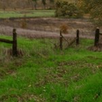 Sgrenig