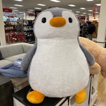 jcoenatl