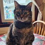 tlv_kat76