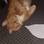 kat119