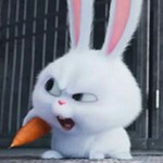 Bunnieying