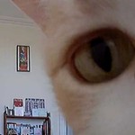 Squemma