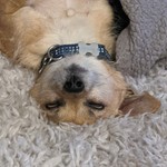 Bytez_o_Fury