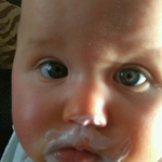 Gavo