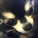 Paul_Hanaki
