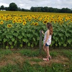 Sunflower_Days
