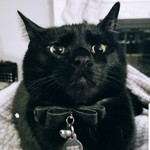 MikeMet