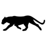 BlackPanther