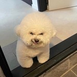 chloejj