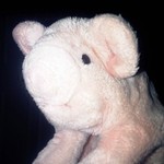 GertKnapper