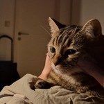emilyzuppy