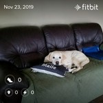 labmom1224