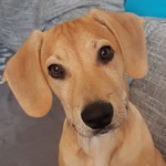 Kathi311086