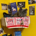 Meow04