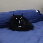 whrrrrr