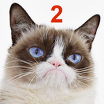 Grumpy_Cat