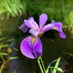 YooperHiker1