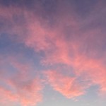 Milo_267-