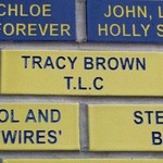 TracyBee