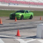 Pcarey08