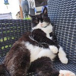 CindyRte