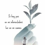 Angely15